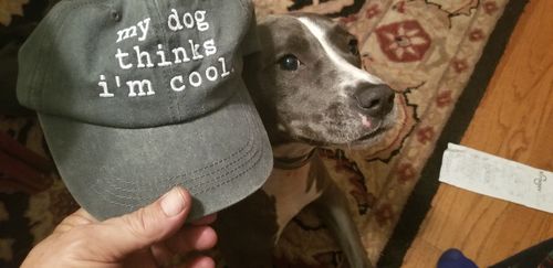 Customer photo review of My Dog Thinks I'm Cool Classic Charcoal Hat