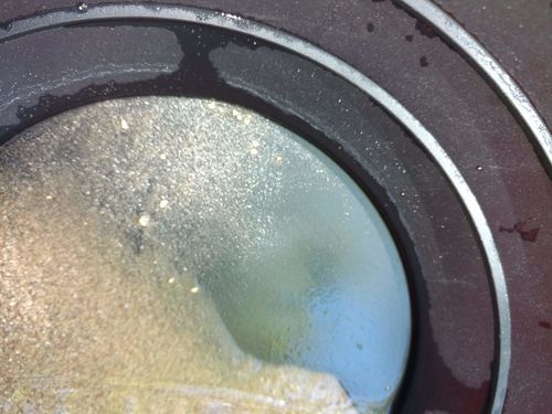 Customer photo review of *BOGO* Pioneer '2 OUNCE NUGGET HUNT' - Gold Panning Paydirt Concentrate