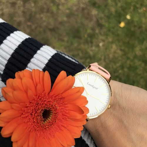 Customer photo review of Rosé Edition