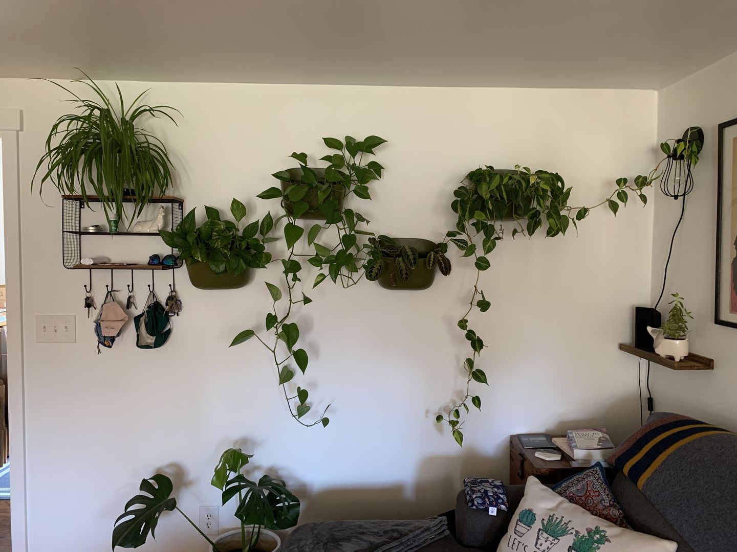 Customer photo review of Wally Eco Terracotta Wall Planter