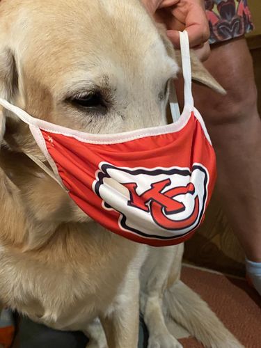 Customer photo review of Canine Cush Hip & Joint Chews