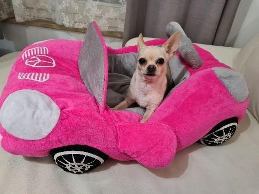 Customer photo review of Furcedes Sports Car Bed