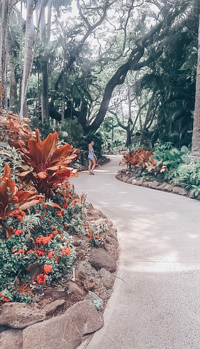 Customer photo review of INSTA COOL MOBILE LIGHTROOM PRESETS