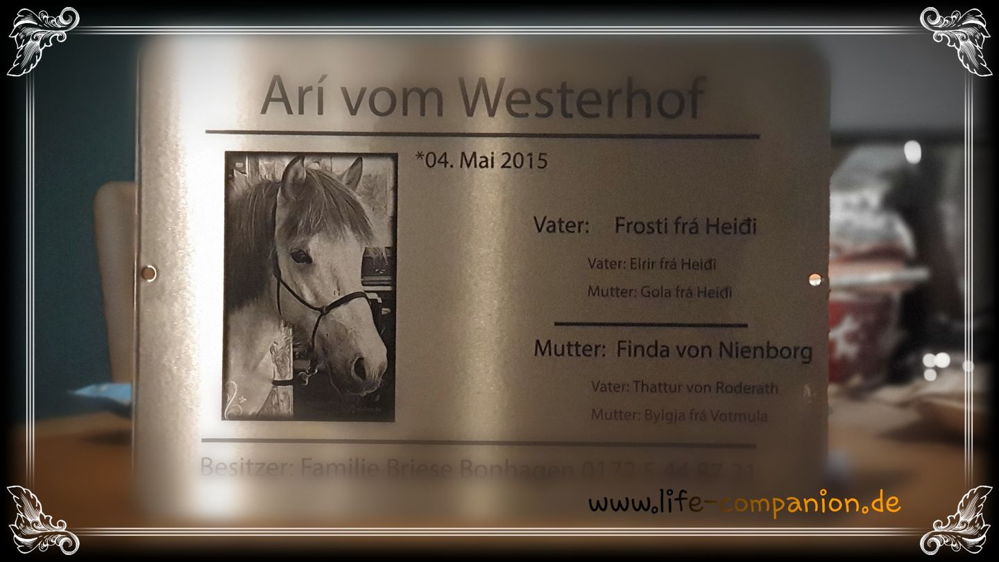 Customer photo review of Personalisierbares Boxenschild  aus gebürsteten Stahl "Stammbaum" im Classic-Design mit Abstammung auch der Großeltern deines Pferdes