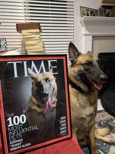Customer photo review of Posing Pig Custom Print