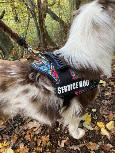 Customer photo review of Pfotenlove - Anti-Zug Personalisiertes Hundegeschirr – Premium Edition