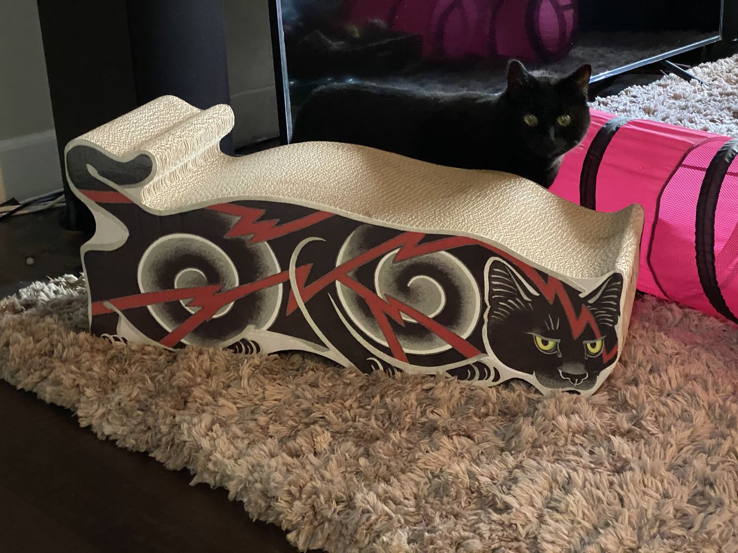 Customer photo review of Electric Cat Scratcher