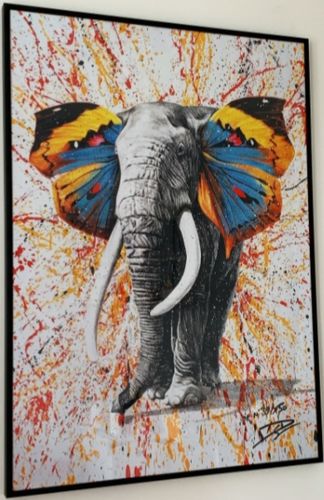 Customer photo review of "Wild colors" #3 - limitée à 150 exemplaires