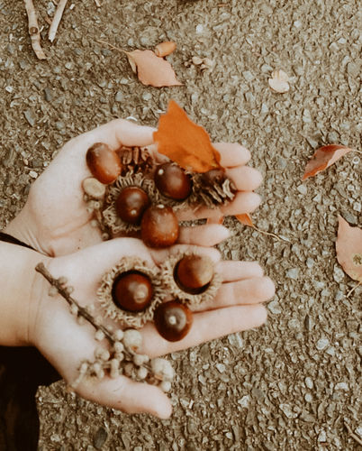 Customer photo review of CARAMEL LIGHTROOM PRESETS