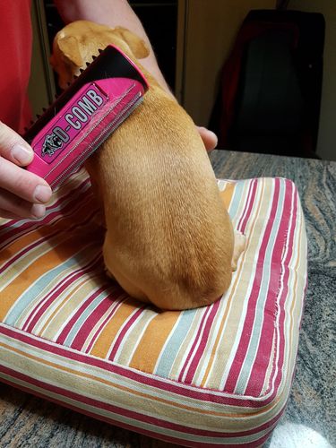 Customer photo review of KingKomb - 3in1 Multifunktionale Bürste