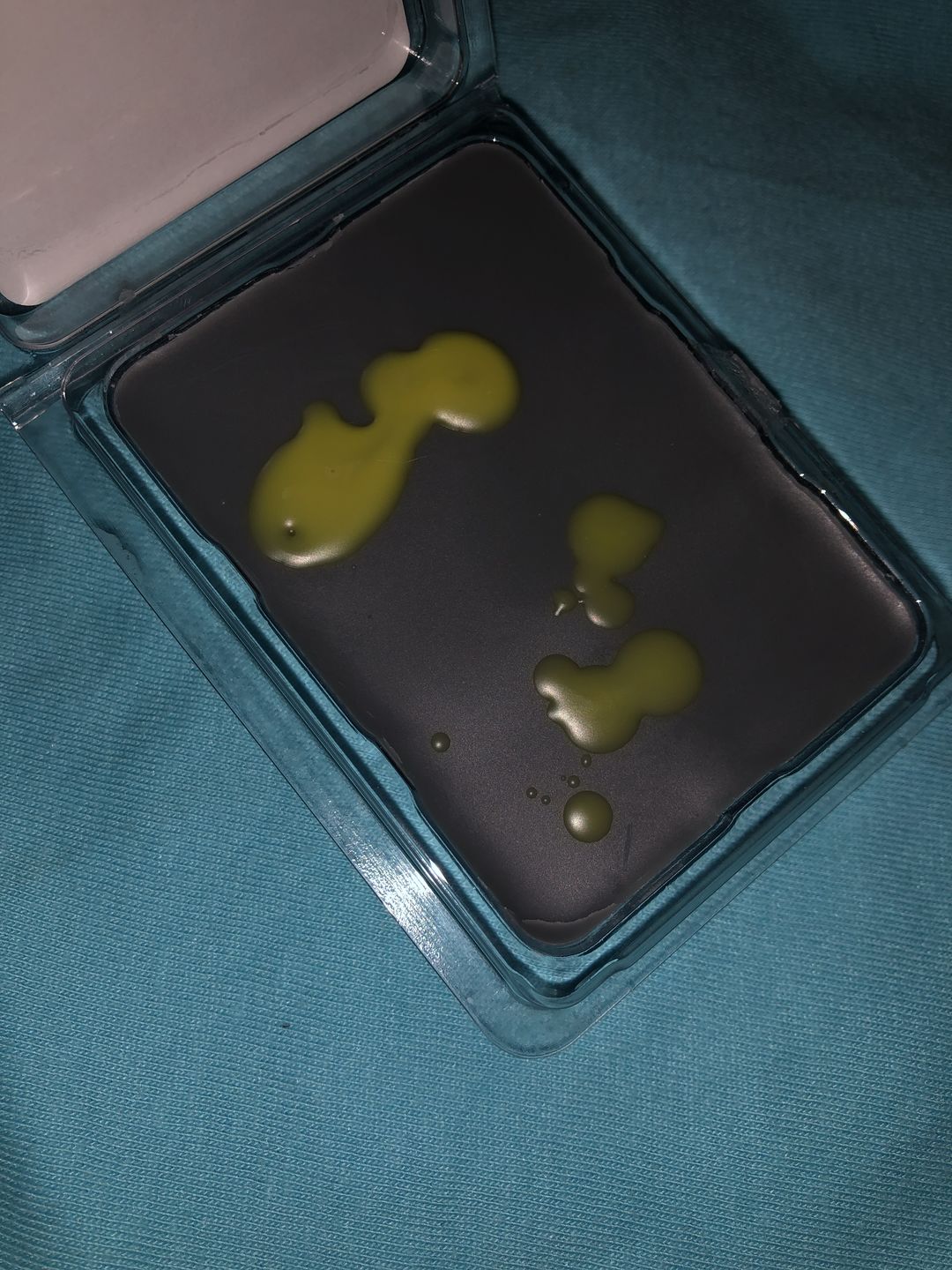 Customer photo review of Binx the Cat Wax Melt