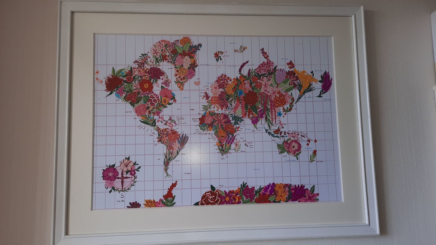 Customer photo review of Mapa Mundi de Flores - Lámina