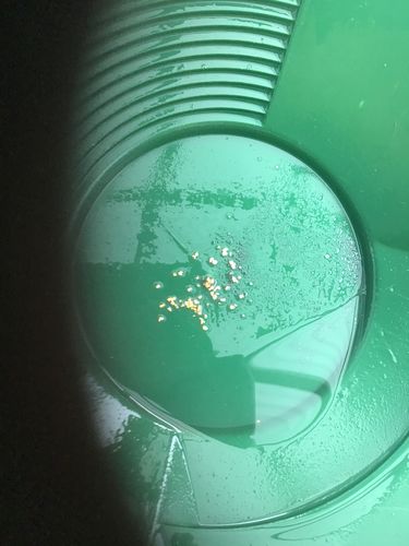 Customer photo review of *BOGO*: MAMMOTH 'TROY OUNCE NUGGET HUNT' Gold Paydirt - Gold Paydirt Concentrate