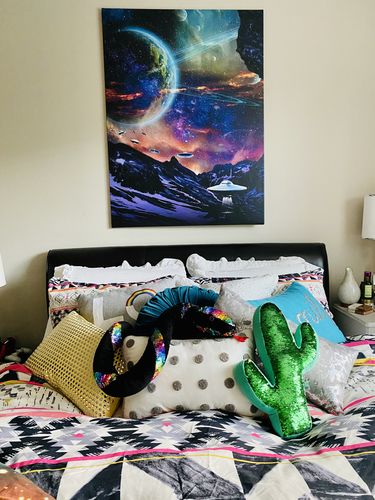 Customer photo review of Beam Me Up Canvas Set