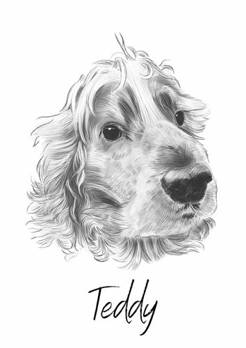 Customer photo review of Black & White Pet Portrait * SPECIAL OFFFER*