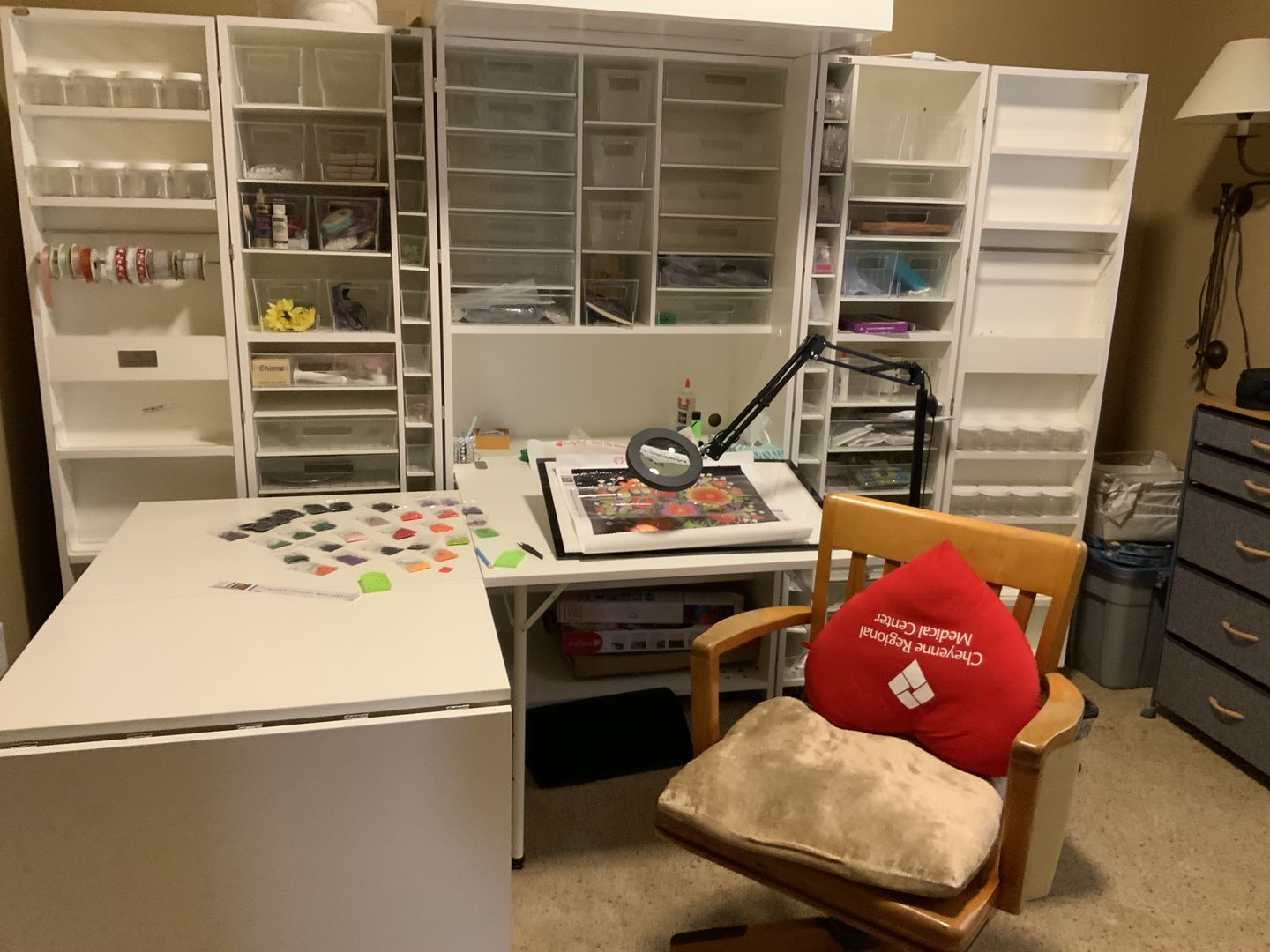 Customer photo review of 40 InView™ Tote Upgrade kit