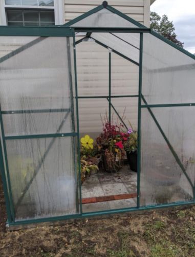 Customer photo review of Erommy 8'x 6'x 6.6' Walk-in Greenhouses Aluminum Plant House UV Protection with Roof Vent & Rain Gutter