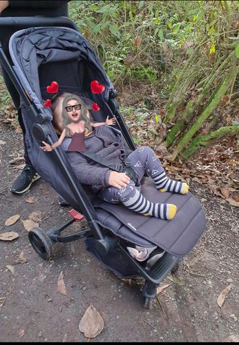 Customer photo review of Otto Sun Cover