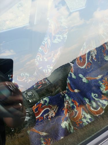 Customer photo review of Orange Japanese Dragon Pattern Print Universal Fit Car Seat Covers