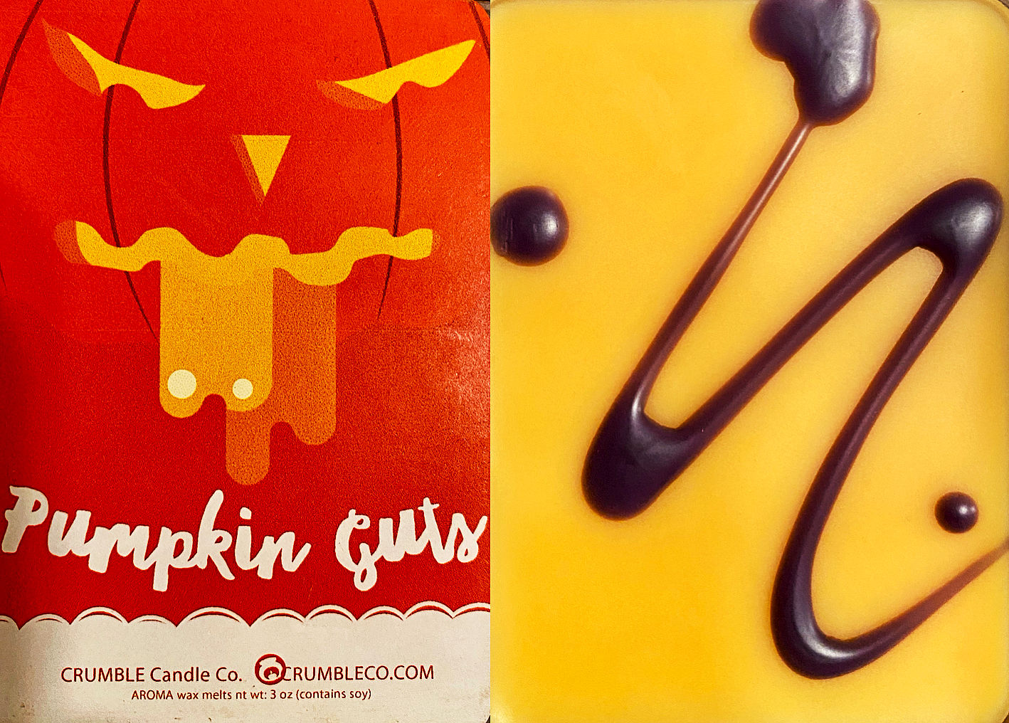 Customer photo review of Pumpkin Guts Wax Melt