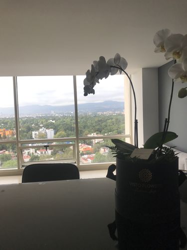 Customer photo review of Caja de Doble Orquídea RN