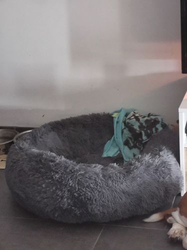 Customer photo review of Lit Apaisant Comfy® |  Pour Chien et Chat