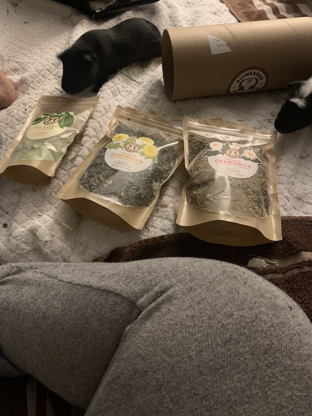 Customer photo review of GuineaDad Nourish Series - Herbal Supplement