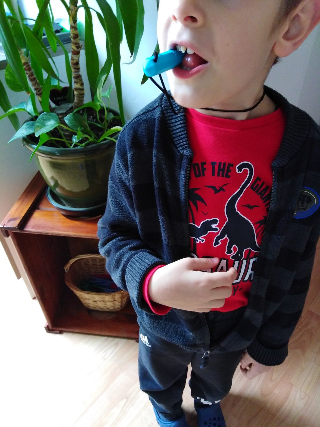 Customer photo review of Collier à mâcher pierre précieuse