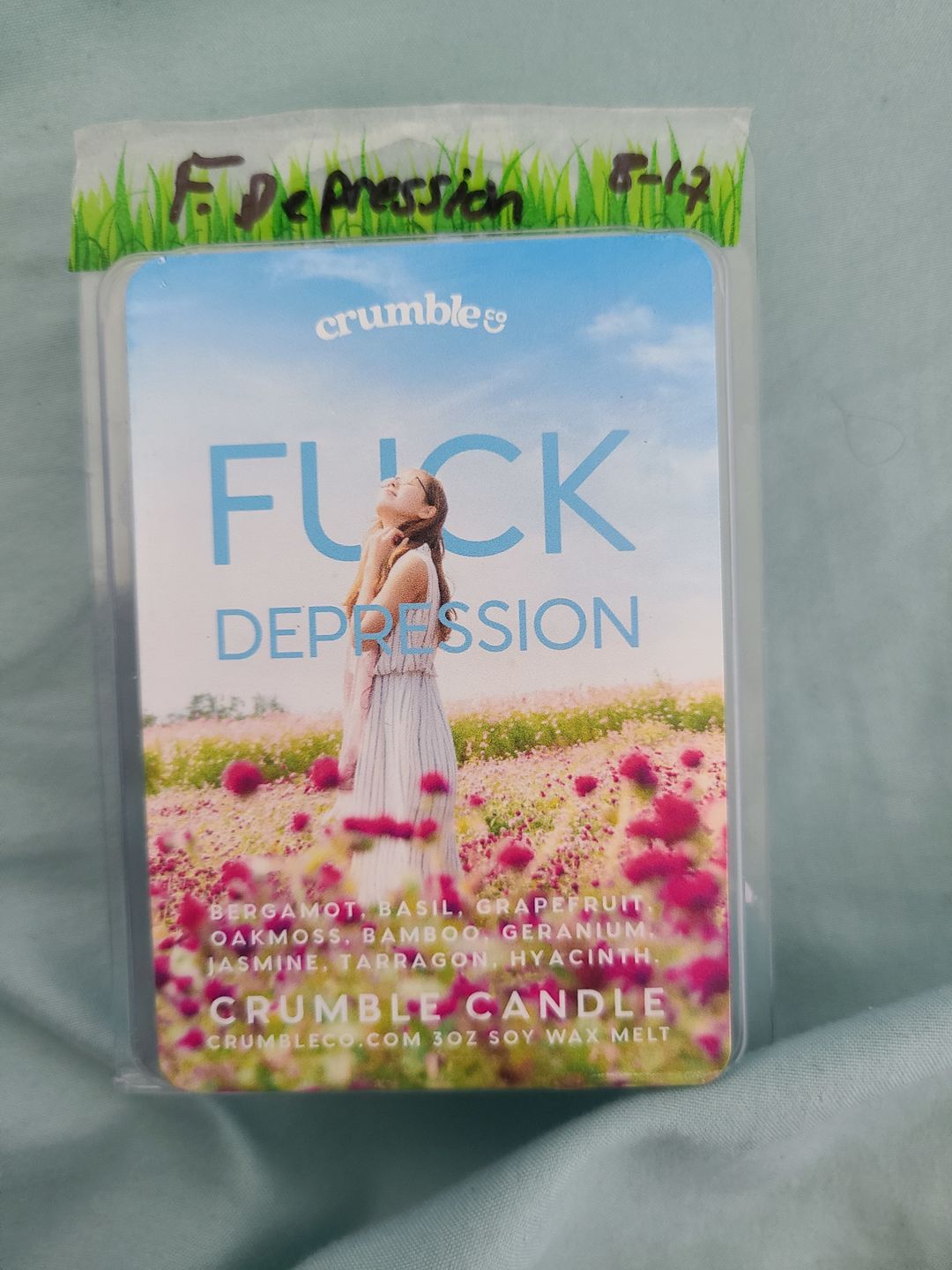 Customer photo review of Fuck Depression Wax Melts