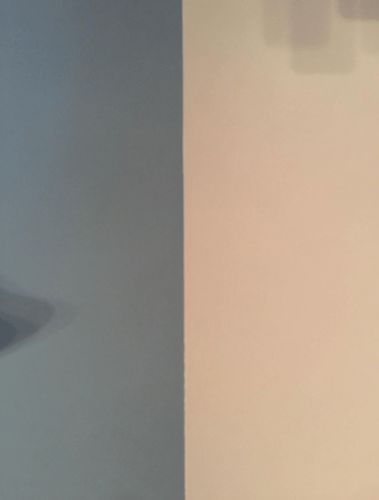 Customer photo review of EZ™️ Clean Cut Paint Edger