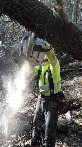 Customer photo review of FALLER'S POLY PRO