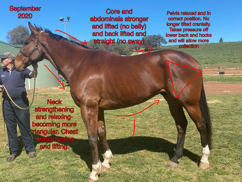 Customer photo review of Stress Paste