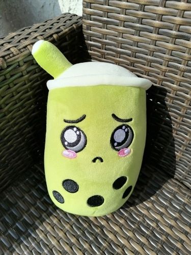 Customer photo review of Boba Buddies