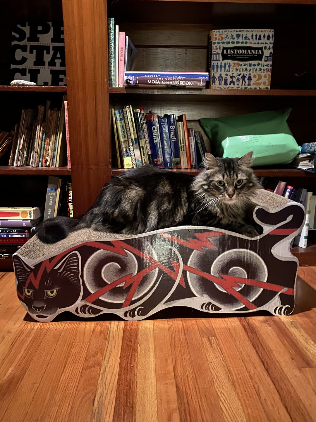 Customer photo review of Electric Cat Scratcher