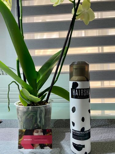 Customer photo review of Tratamiento HAIRSHA