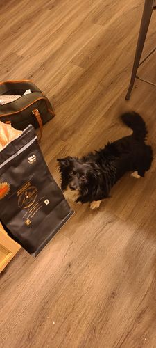 Customer photo review of Grass-Fed Ghee Butter Coffee - Whole Beans