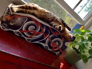 Customer photo review of Electric Cat Scratcher