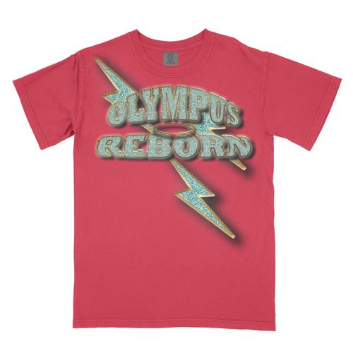 Customer photo review of Comfort Colors Garment Dyed Heavyweight Mockups Pack