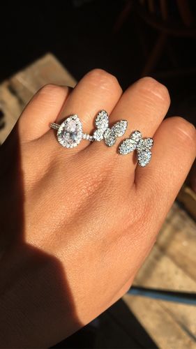 Customer photo review of Double butterfly ring