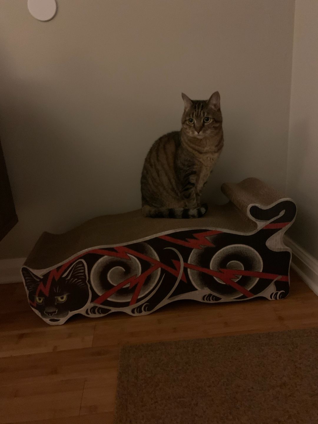 Customer photo review of Electric Cat Scratcher