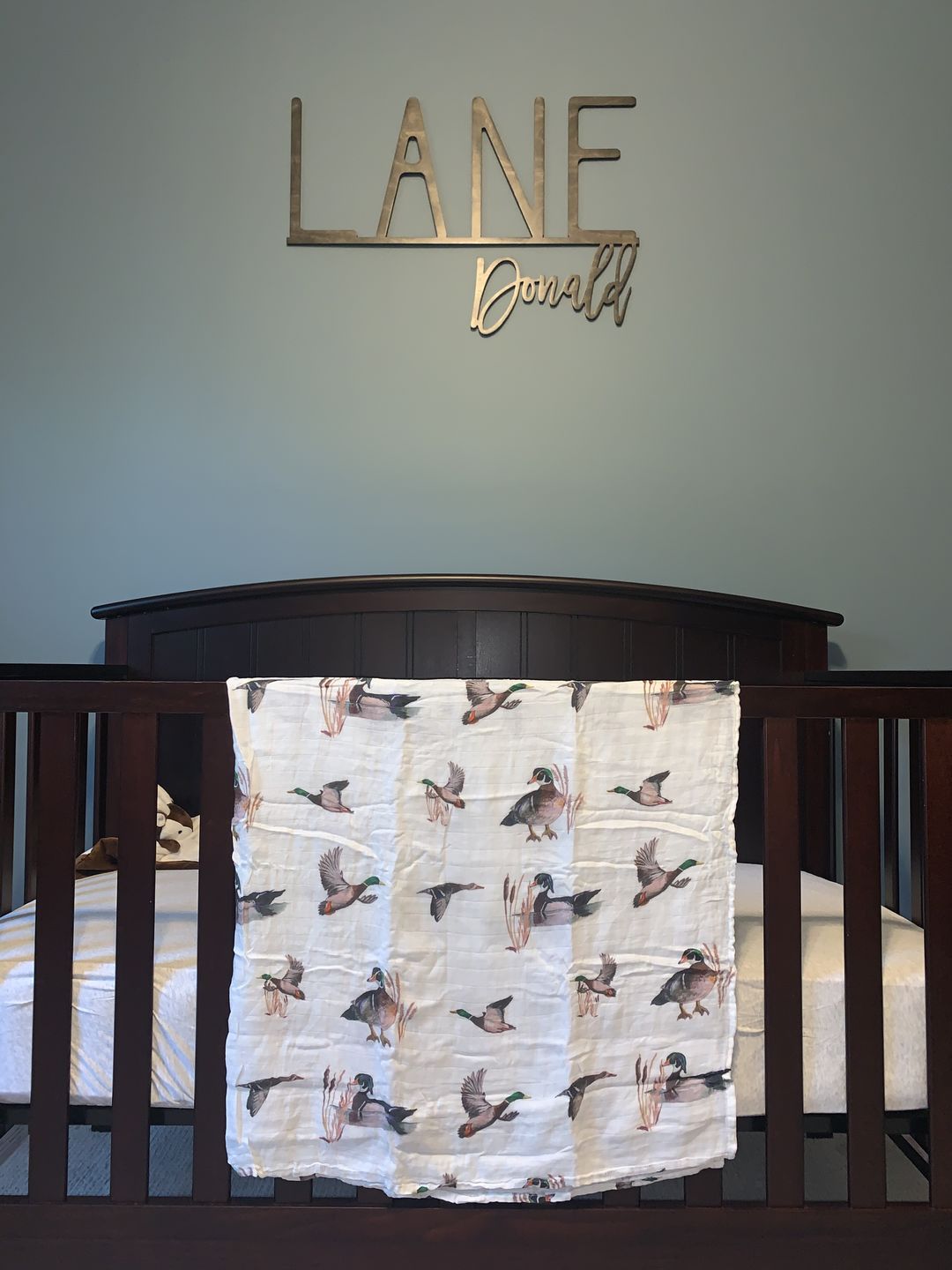 Customer photo review of Diving Ducks