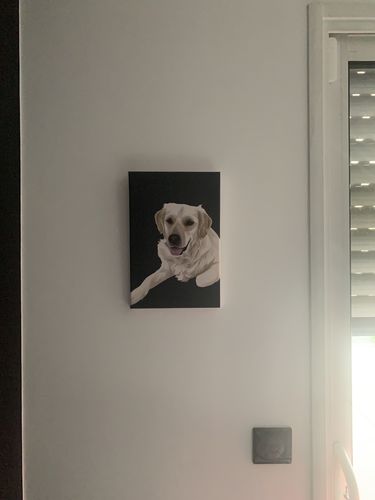 Customer photo review of Portait pop-art / Animaux