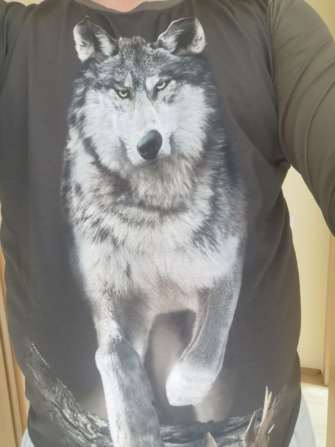 Customer photo review of Tricou Vanatoare din Bumbac Porc Salbatic DGT -  Maneca Scurta