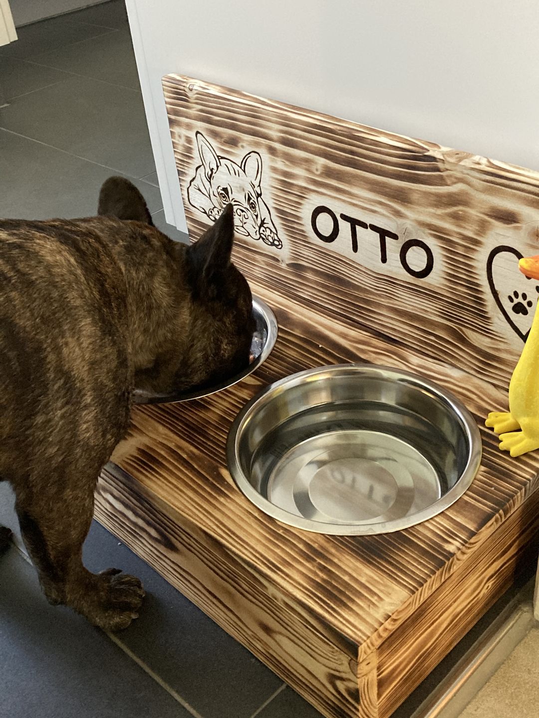 Customer photo review of NutriDog Starter-Box - 3 Sorten in 200g Portionen