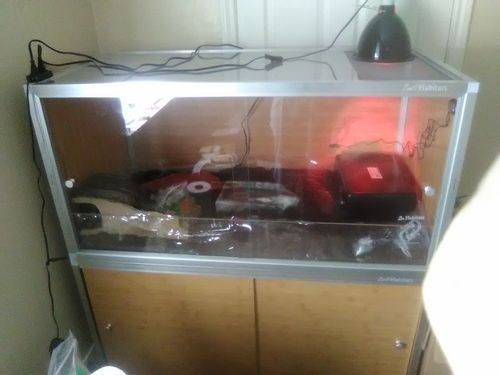 Customer photo review of 4'x2'x2' PVC Panel Reptile Enclosure by Zen Habitats