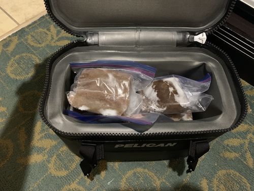 Customer photo review of Pelican™ Elite Soft Cooler
