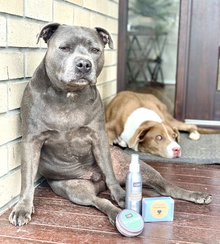 Customer photo review of Gentle Dog Shampoo Bars