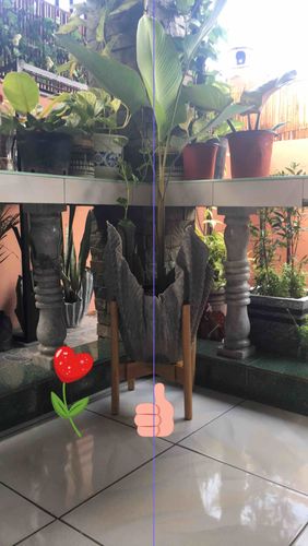 Review photo 1 by Cherielou R.