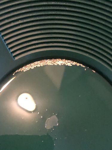 Customer photo review of *New* MAMMOTH 'TROY OUNCE NUGGET HUNT' Gold Paydirt - Gold Paydirt Concentrate