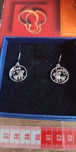 Customer photo review of Boucle d'Oreille Éléphant Argent